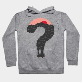 Why? Hoodie